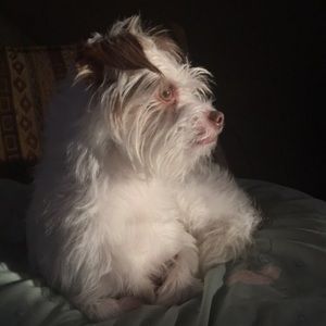 Meet your Posher, Natalie